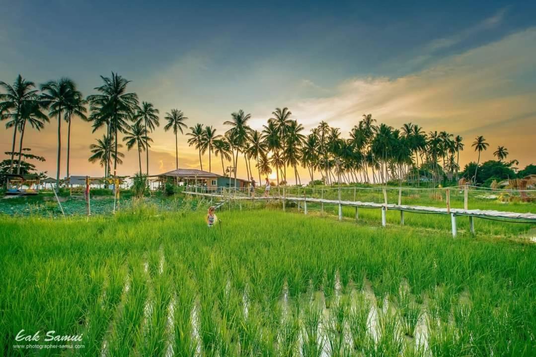 I - Talay Taling Ngam Samui - เขา ป่า นา เล ตลิ่งงาม สมุย Hotel ภายนอก รูปภาพ