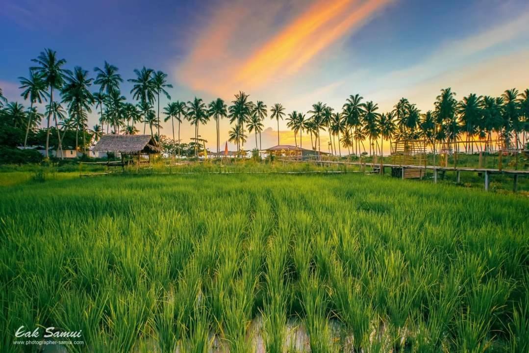 I - Talay Taling Ngam Samui - เขา ป่า นา เล ตลิ่งงาม สมุย Hotel ภายนอก รูปภาพ
